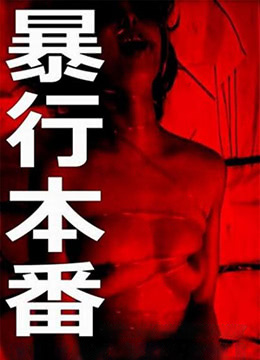 梅花兒香電視劇全集播放免費