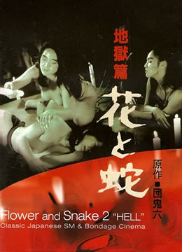 十三太保黃日華