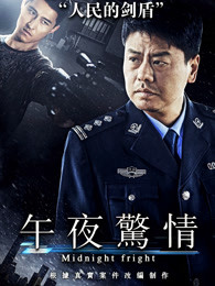 午夜驚情2017